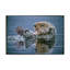 «Sea Otter With Urchin» par Etelca, impression sur toile tendue-27650954