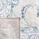Anniston Oriental Area Rug