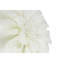 Housse de coussin Floral-88582381-88582386