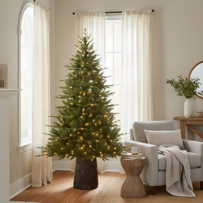 Sapin de Fraser Jasper Elite avec DEL