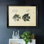 «Bloch Antique Fish II», reproduction d'un seul cadre photo sur toile-148147993-148147992