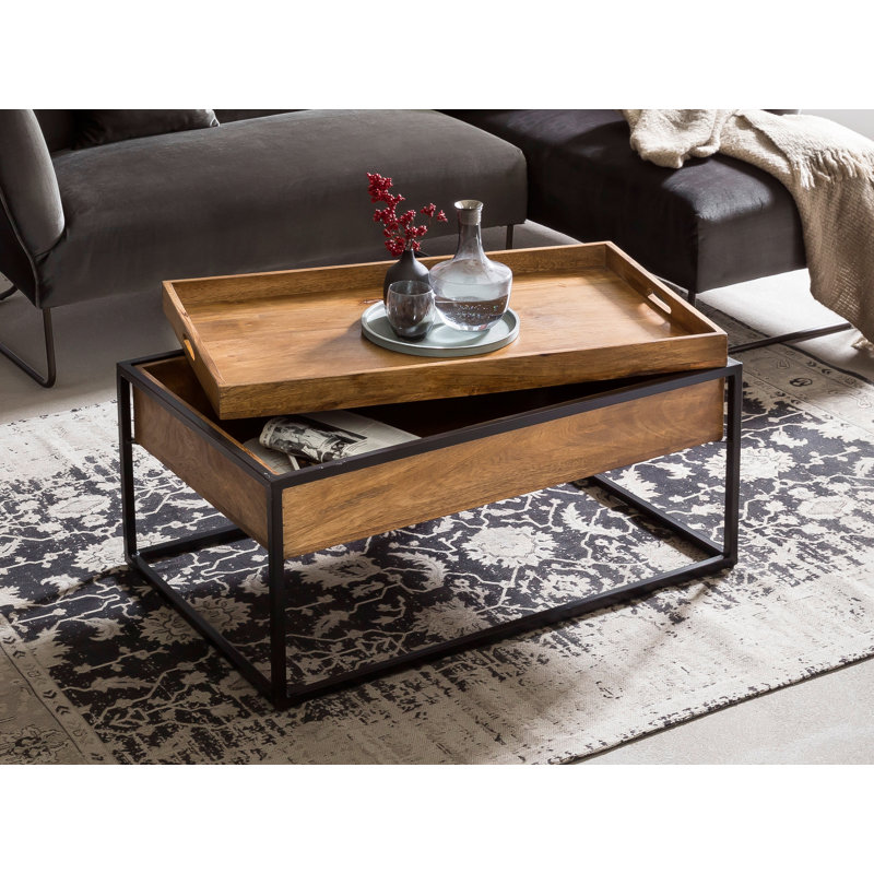 Lehoux Frame Coffee Table with Storage