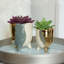 Plante grasse artificielle en pot 2 po-1576093635