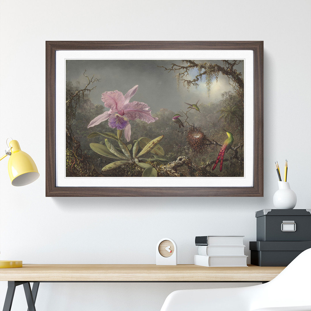 Cattleya Orchid and Hummingbirds by Martin Johnson Heade - Framed Print
