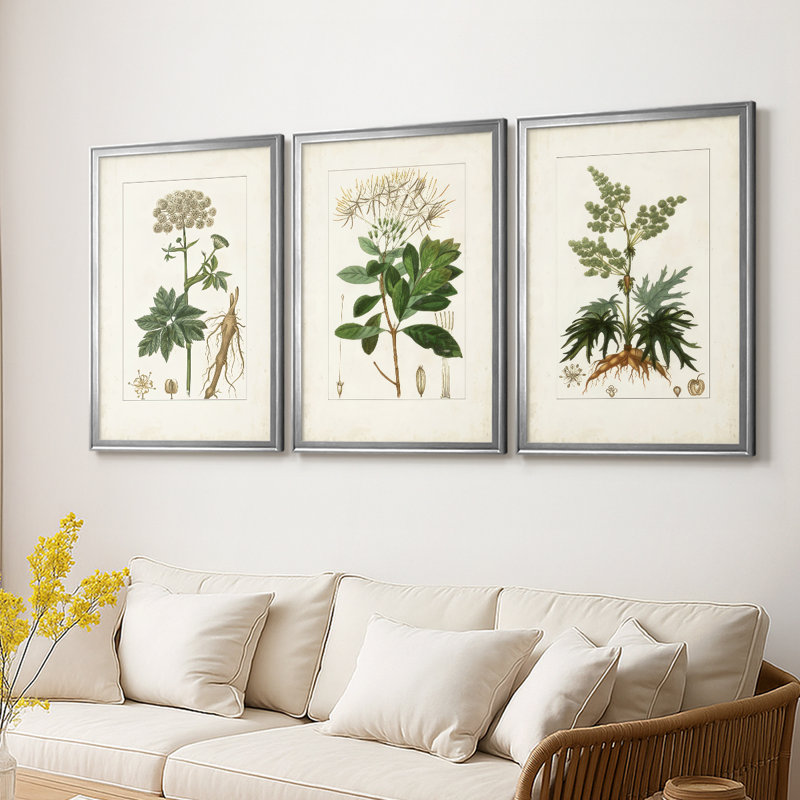 Antique Turpin Botanical I - toile tendue avec châssis sur mesure - 3 pièces, Argent argent, H 15 po x l 19 po