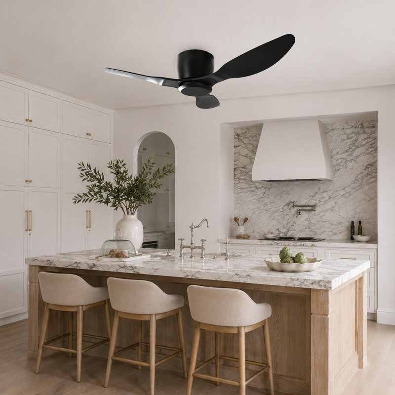 Ceiling Fan