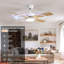 Ventilateurs de plafond avec lumières-2027251640-2027251641