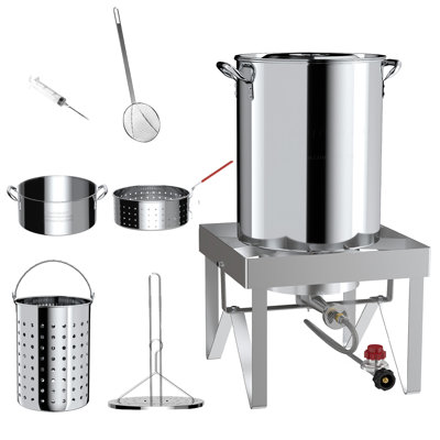 Stainless Steel Turkey Fryer Kit