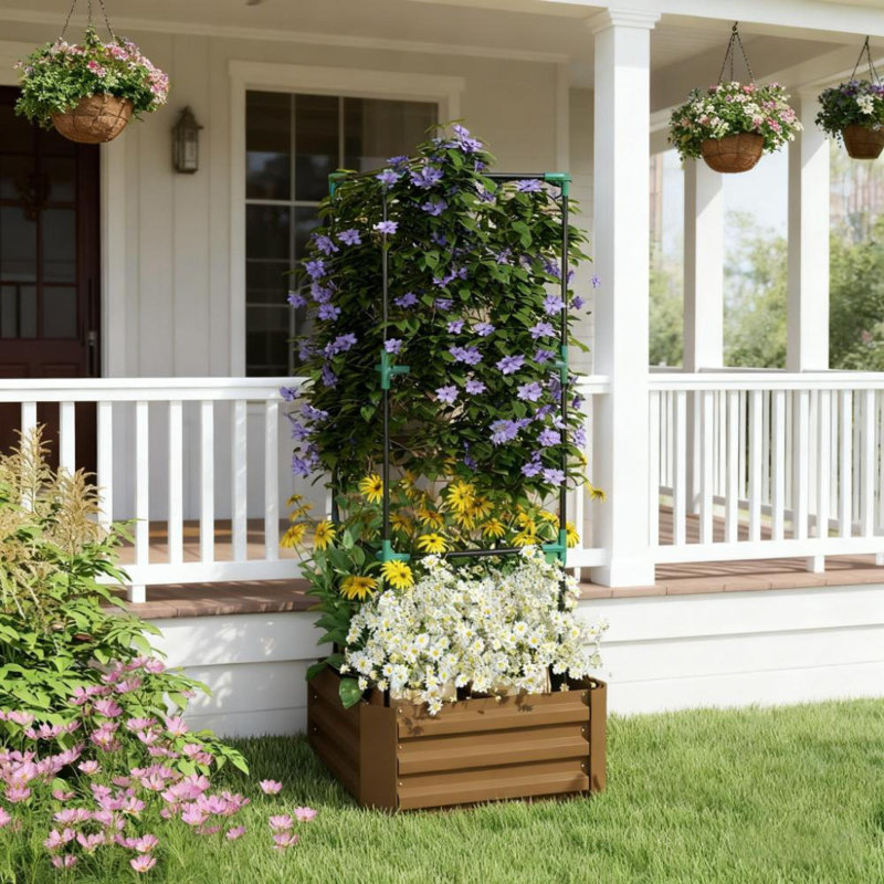 Jardinières en acier surélevées avec treillis pour jardins extérieurs