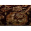 Tapis oriental floral All-Over Agra 4 x 6