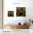 Lilie Spring In Town-109390675