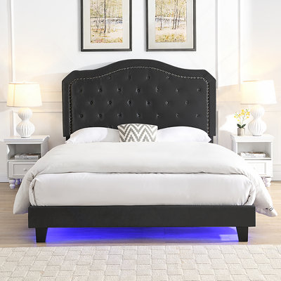 Bouton de lit rembourré capitonné avec un design incurvé - Support de lattes en bois robuste - Assemblage facile - Velours noir - Avec lit plateforme à DEL - Grand