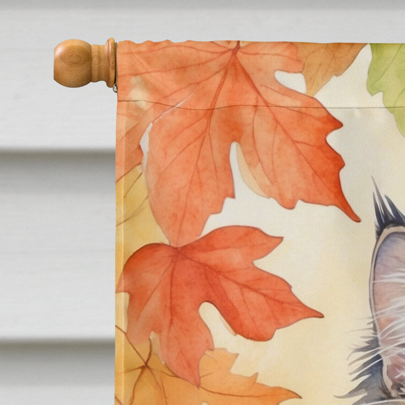 Chat en feuilles d'automne, Norvégien