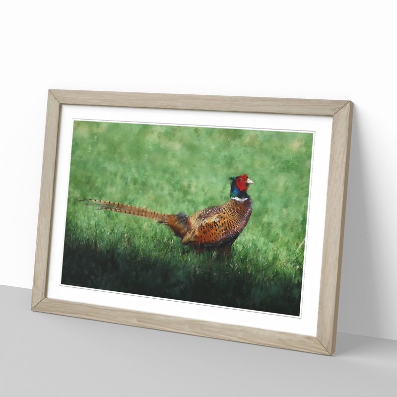 Pheasant Bird Vol.2 - Framed Print, 48cm H x 65cm W x 2cm D, Oak Framed