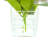Globe Thistle Arranged in Glass Vase