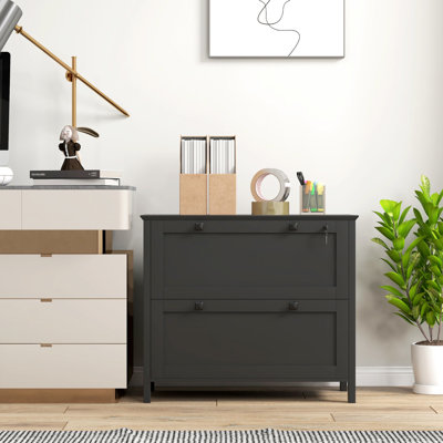 Classeur verrouillable 2 pièces en noir. Pour l'organisation du bureau à domicile. Bar réglable pour différentes tailles. Moderne et fonctionnel. - Panneau de particules revêtu. L 31,1 po x l 15,7 po x H 28,3 po. Capacité de 132 lb. Assemblage