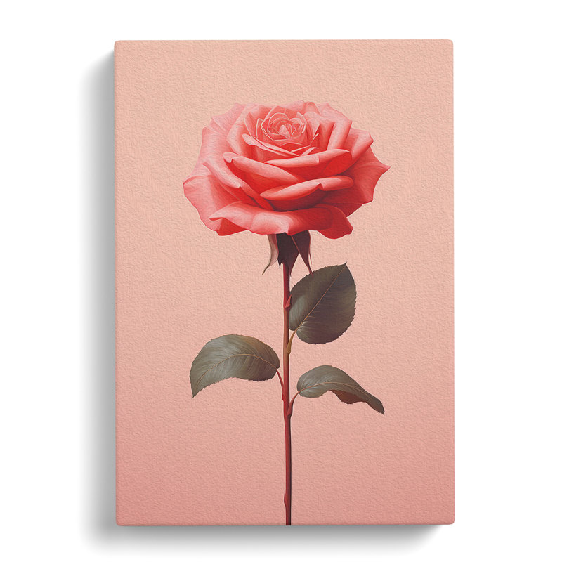 Rose Minimalism No.3 - Wrapped Canvas, 50cm H x 35cm W x 3cm D