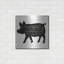 «Pig Ham It Up» par Cindy Jacobs sur métal-1920587821