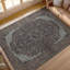 Gramercy Wool Oriental Area Rug in Brown