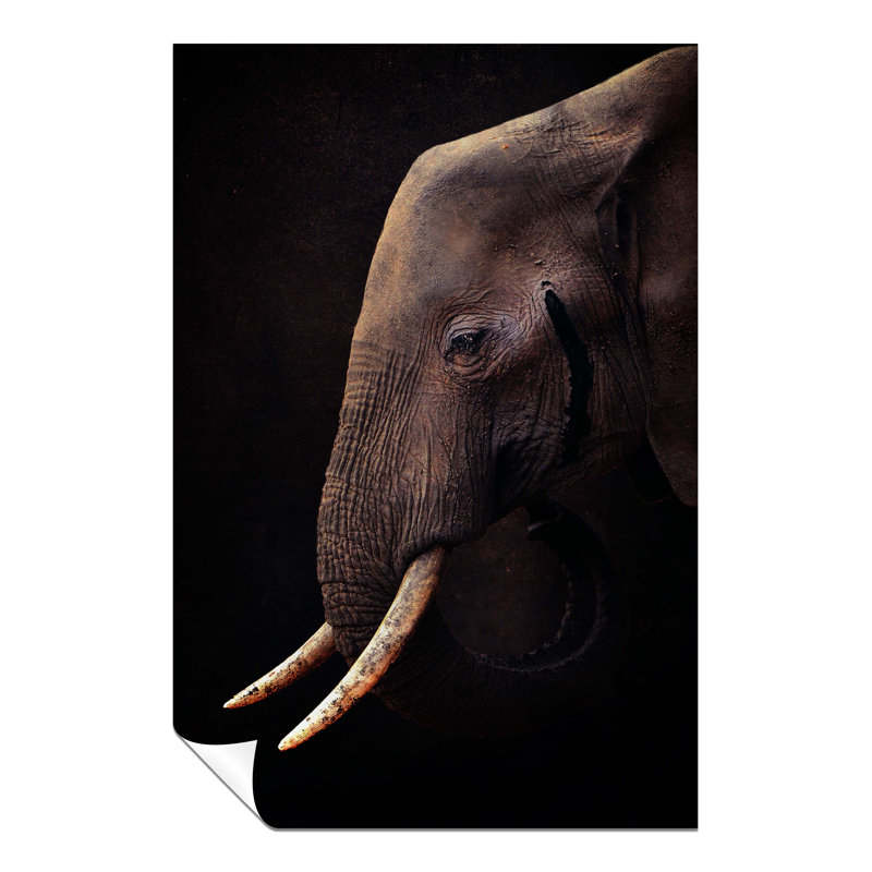 Old Elephant With Sad Eyes - No Frame Print, 31cm H x 20cm W