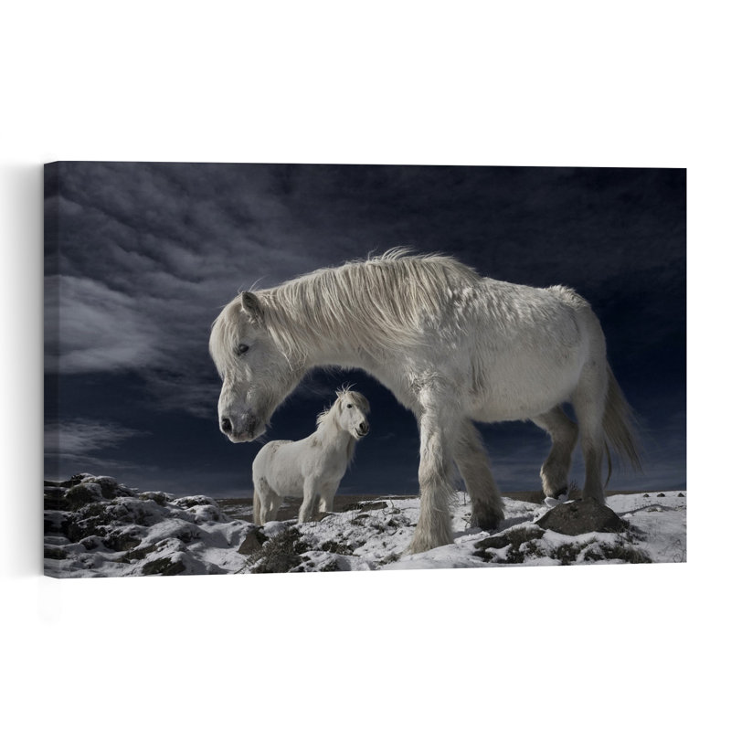 Chevaux blancs dans la neige, paysage abstrait contemporain, art mural nature, H 16 po x l 24 po