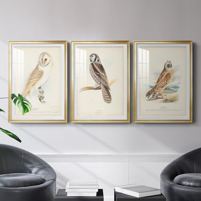 " Barn Owl " 3 - Pieces