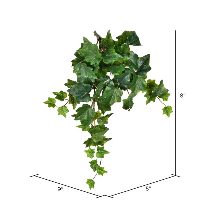 Artificial Varigated Ivy Hanging Bush Astoria Grand Size: 28 H x 8 W x 10 D