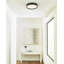 Finch 1 - Light LED Flush Mount-56360086-87330218