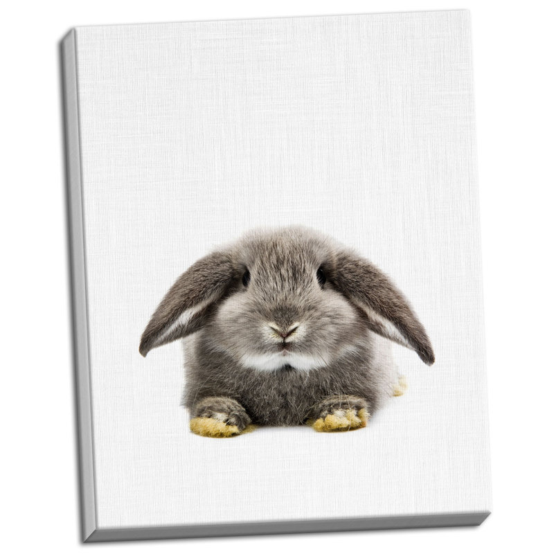 « lapin ii », impression, Toile tendue, H 14 po x l 11 po x P 0,75 po