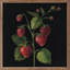 Fraise par Silvia Vassileva-1711846215