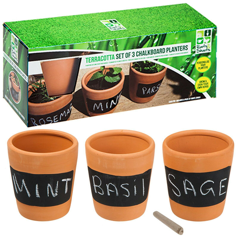Chamness Pot Planter