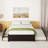 Bed With Twin Trundle And Two Drawers-976543019