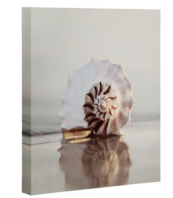 Coquillage par Bree Madden - reproduction de photo sur toile, H 20 po x l 16 po x P 1,5 po