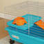 Rabbit, Guinea Pig, Chinchilla Cage