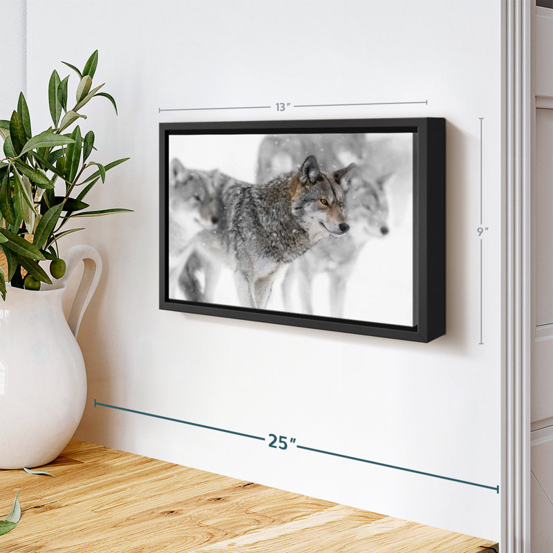 Coyote Band, reproduction sur toile, H 9 po x l 13 po