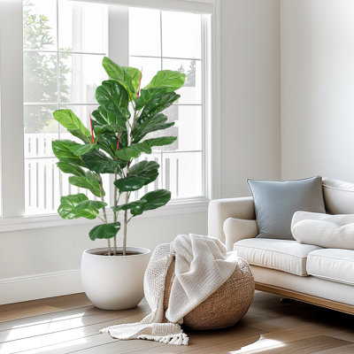 99cm Plant