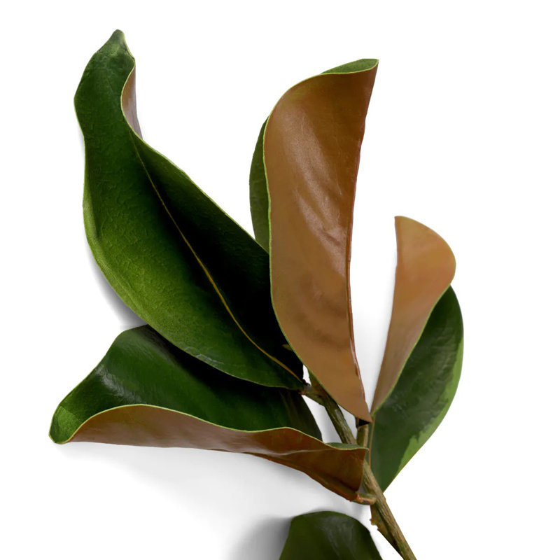 Faux Magnolia Plant