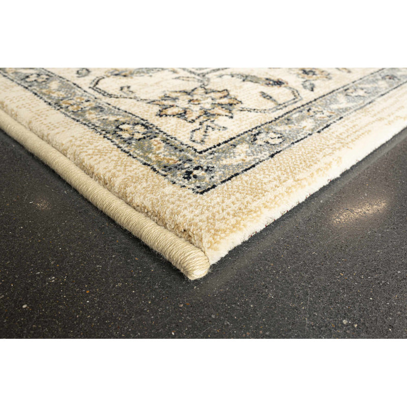 Raine Oriental Area Rug, Rectangle 160 x 230cm