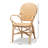 Dining Chair(Only Dining Chairs)