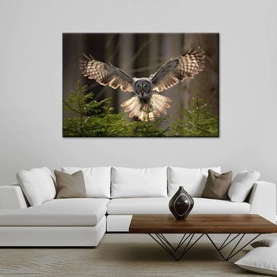" Flying Owl Canvas Print "