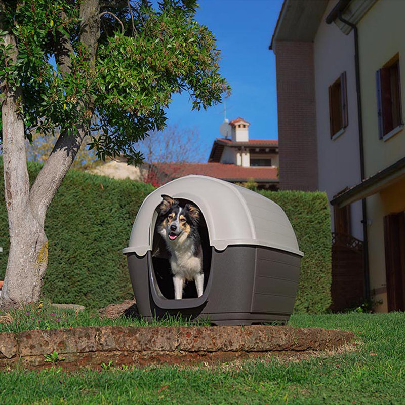 Pet Crate, 80cm H x 111.6cm W x 80cm D