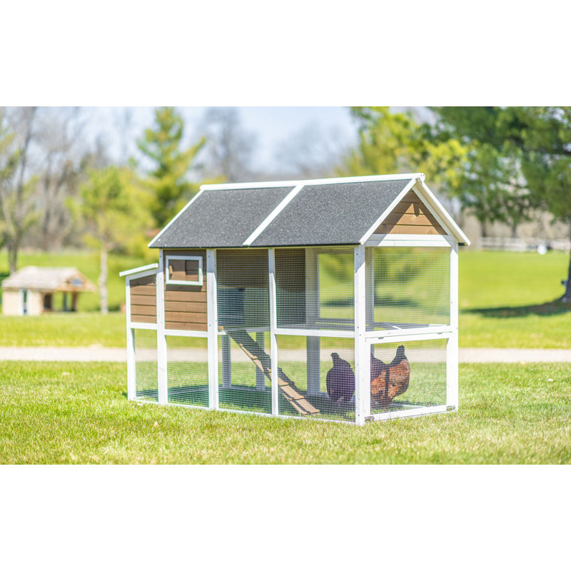 15.8 Square Feet with Chicken Run