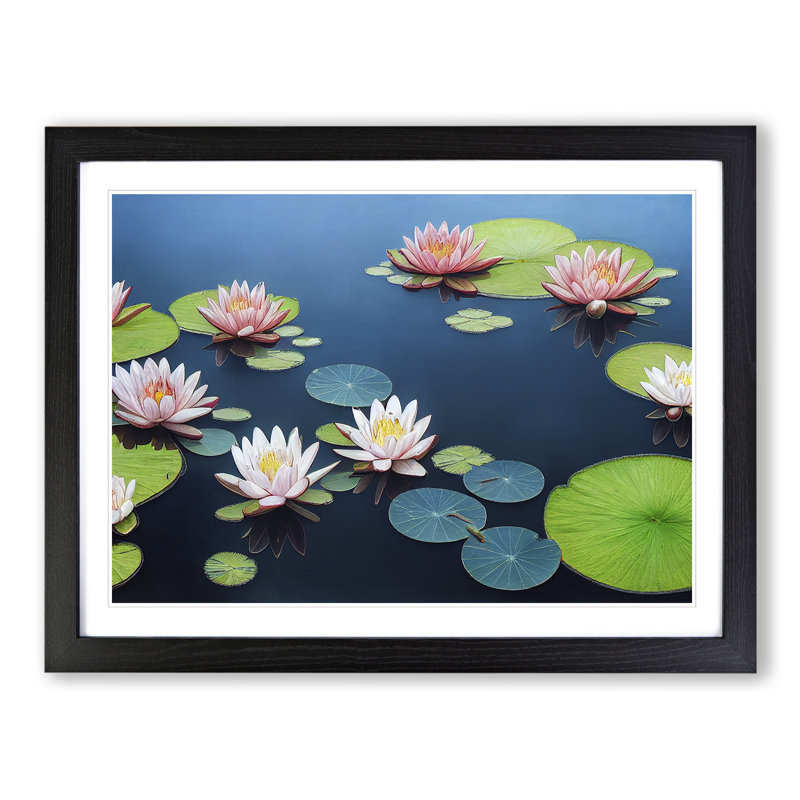 Picturesque Water Lily Pond - Single Picture Frame Print, Black Framed, 46cm H x 64cm W x 2cm D