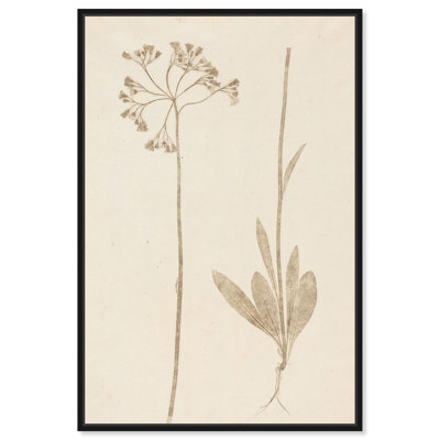 Deux tiges, reproduction d'art sur toile par Art Remedy
