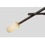Locus - Chandelier - Dark Stained Walnut & Black - No Bulb Included-777468145