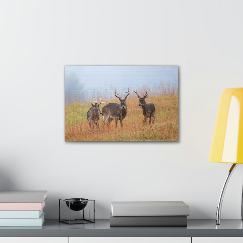 «White Tailed Deer Group», art mural animal à tête de cerf à queue blanche, H 12 po x l 16 po