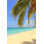 Caraïbes: Dream Beach par Shunyufan