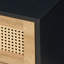 Anisjon & Rattan 2 Drawer Bedside Table-1317511962