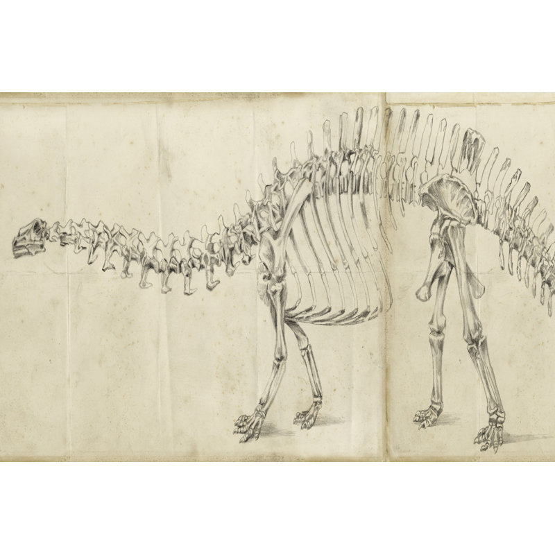 Dinosaur Study I by Ethan Harper - Wrapped Canvas Print, 61cm H x 91cm W x 3.8cm D
