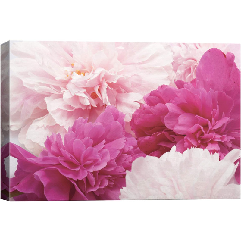 Bouquet de fleurs de pivoine rose, rouge et blanche, H 32 po x l 48 po